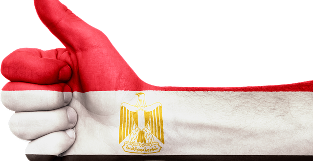 طرق منح الجنسية المصرية للأجانب
