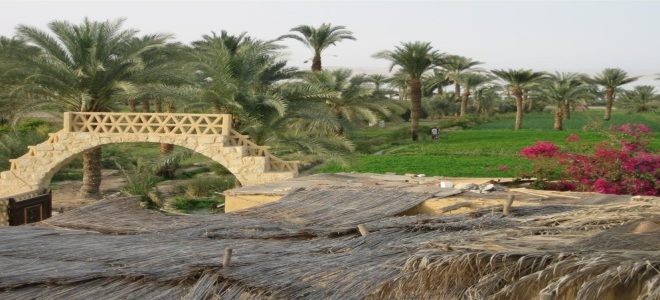 رحلة سياحية الي الفيوم – مصر