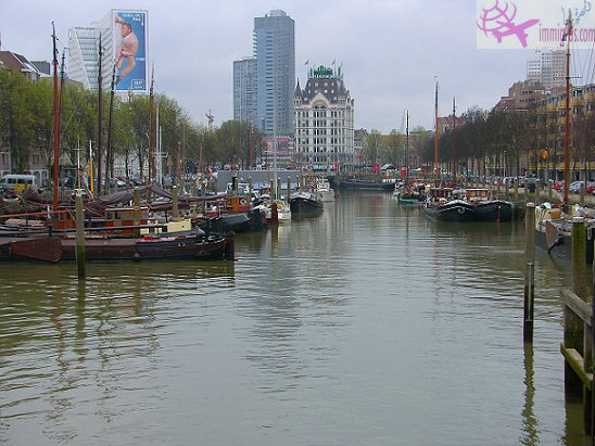 نظرة على السياحة في روتردام