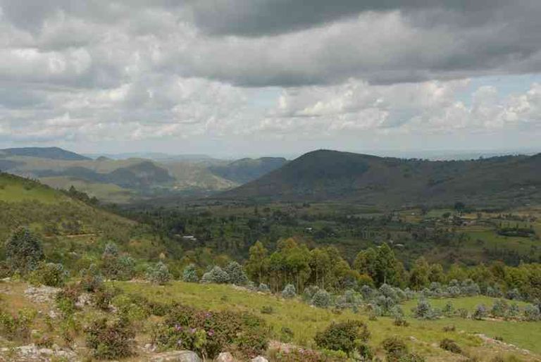 كيغوينا الغابات الطبيعية أحد أماكن السياحة في بوروندي