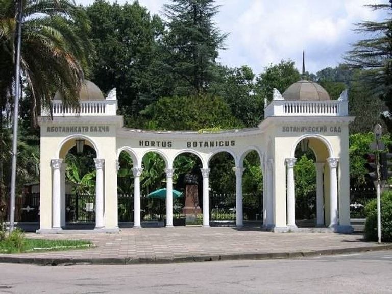 حديقة نباتات أبخازيا أحد أماكن السياحة في أبخازيا