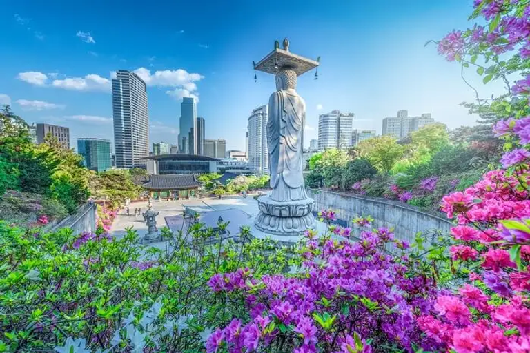 تكاليف السياحة في سيول الكورية