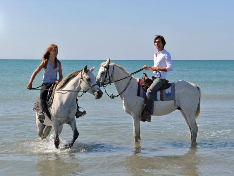  ركوب الخيل أحد أفضل الأنشطة السياحية في خليج بوديجا