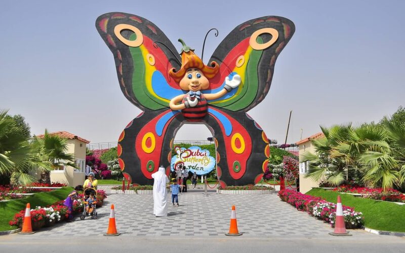 أنشطة يمكن القيام بها في حديقة الفراشات دبي