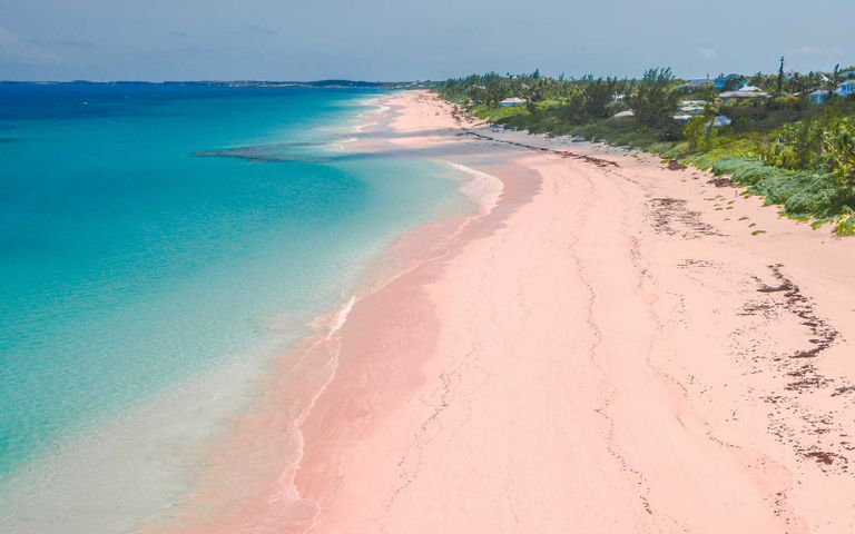 شاطئ الرمال الوردية أحد أماكن السياحة في جزر البهاما