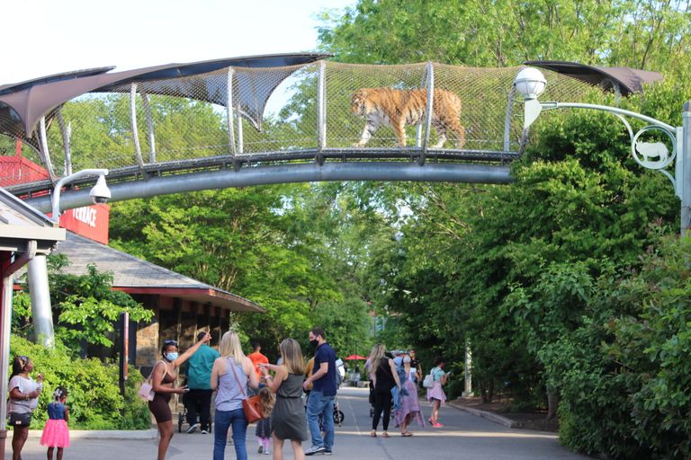 حديقة حيوان فيلادلفيا أحد أماكن الياحة في بنسلفانيا