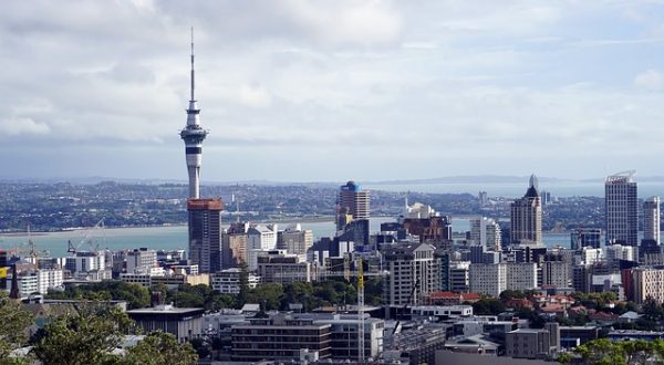 اللجوء الى نيوزلندا للسعوديين : شروط واماكن ووثائق تقديم اللجوء