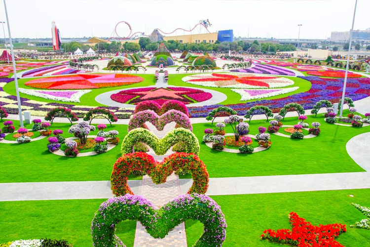 حديقة الزهور – ميراكل جاردن في دبي