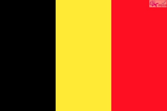 سفارة بلجيكا بالرياض | عنوان | تليفون | فاكس