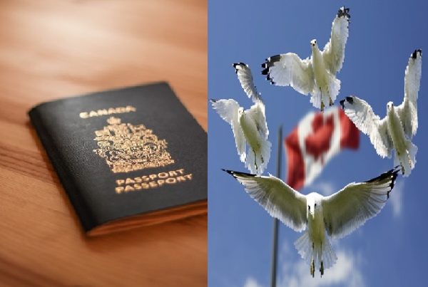 شروط الحصول على الجنسية الكندية .. 6 شروط أساسية