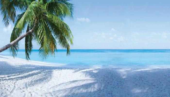 شواطئ جزر كايمان.. أفضل 5 شواطئ “ساحرة” في البحر الكاريبي