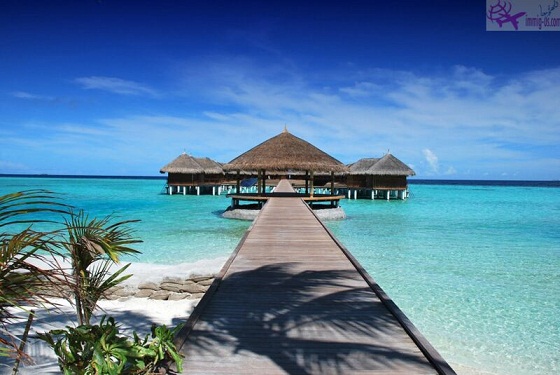 فيزا جزر المالديف – المتطلبات والشروط