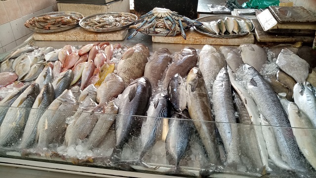 سوق السمك خورفكان