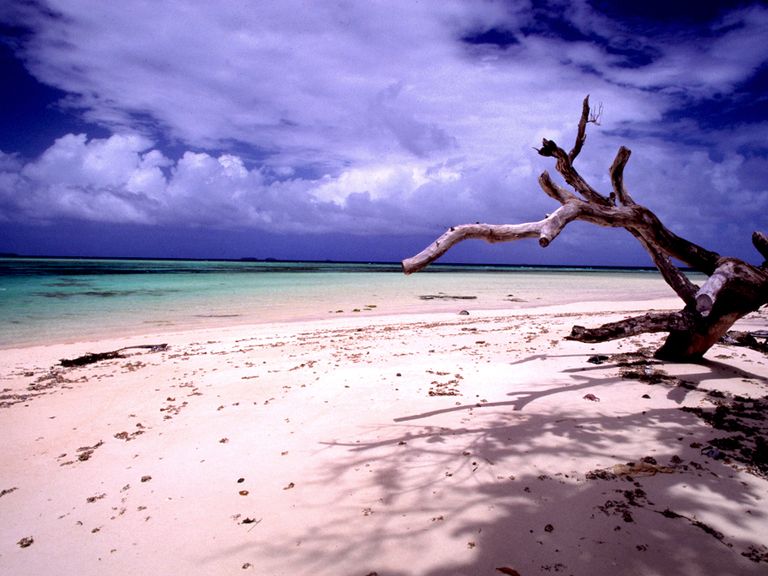 شاطئ لورا من أفضل أماكن السياحة في جزر مارشال