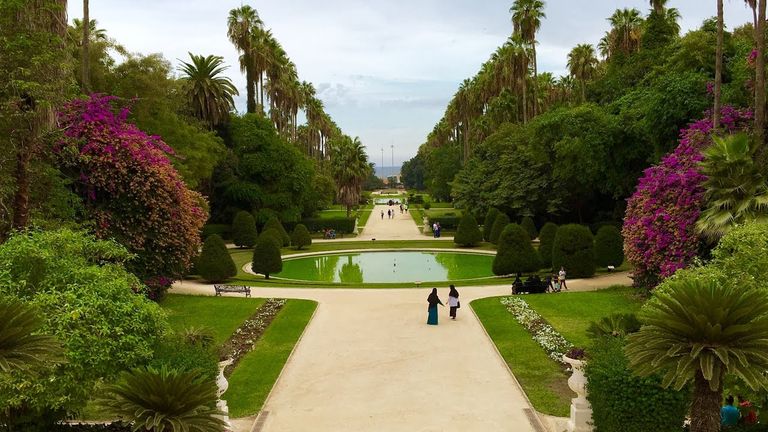حديقة الحامة من أفضل أماكن الزيارة في الجزائر