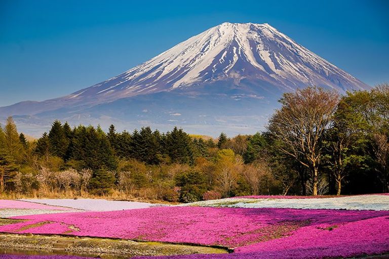 حديقة فوجي هاكوني إيزو أحد أجمل الحدائق الوطنية في العالم