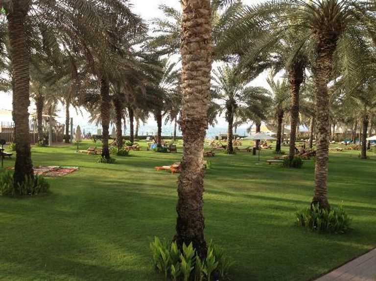 حديقة جميرا بيتش في دبي