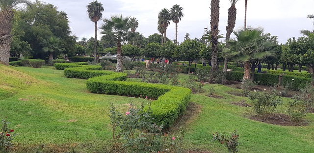 أجمل 5 من حدائق مراكش ننصحك بزيارتها