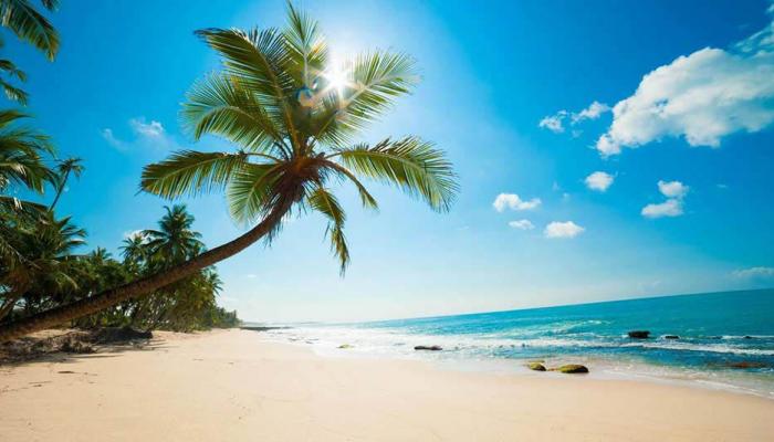 أجمل شواطئ جزر الكاريبي في 2022.. ينصح بزيارتها