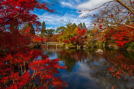 أفضل 11 بقعة لزيارة اليابان في الخريف