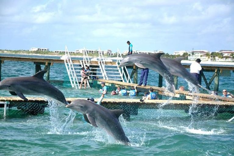شاطئ الدولفين أحد أفضل أماكن السياحة في كانكون المكسيك