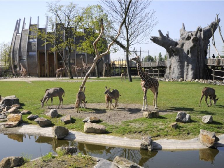 حديقة حيوان روتردام