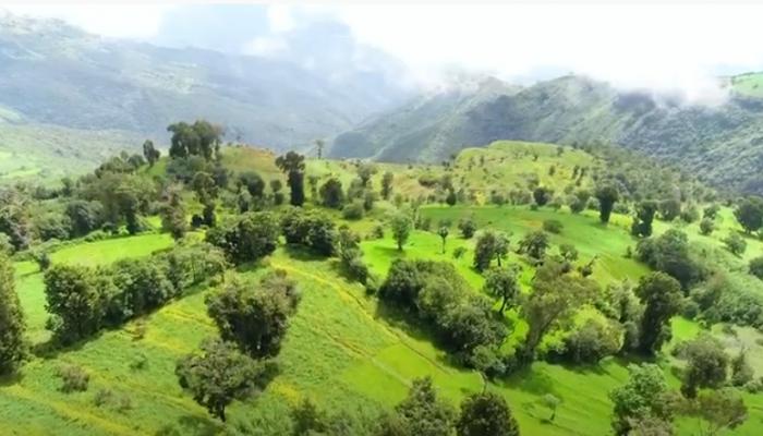 قومية “يم” بجنوب إثيوبيا.. وجهة سياحية بنكهة “الطبيعة الخلابة”