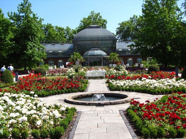 حدائق فرانكفورت 