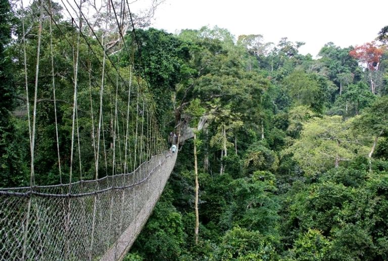 حديقة أوبو الطبيعية من أفضل الوجهات السياحية في ساو تومي وبرينسيبي
