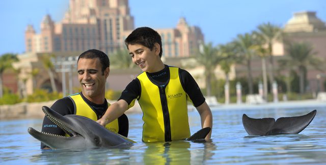  خليج الدلافين في دبي
