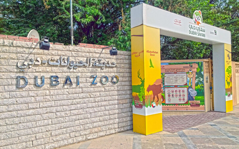 حديقة حيوانات دبي: أهم الأنشطة، اسعار التذاكر، والمزيد!