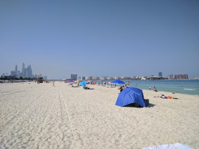 شاطئ في دبي الصفوح