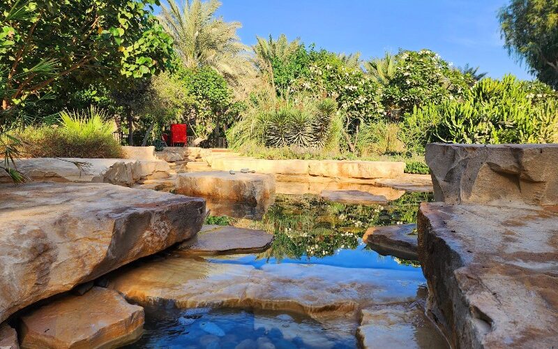 حديقة ام الامارات ابوظبي: أهم الأنشطة، أسعار الدخول، والمزيد!