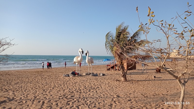شاطئ الفلامنجو راس الخيمة: أهم الأنشطة، المرافق، والمزيد!