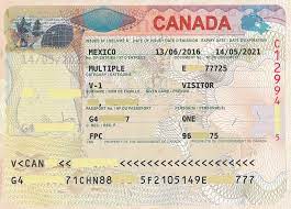 كيفية التحقق مما إذا كانت التأشيرة الكندية حقيقية أم مزورة