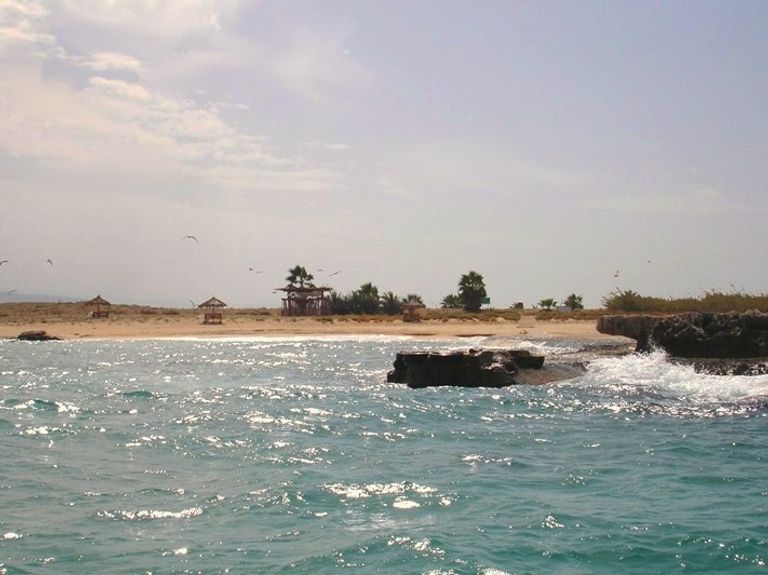 محمية جزر النخيل الطبيعية أحد أماكن السياحة في طرابلس لبنان
