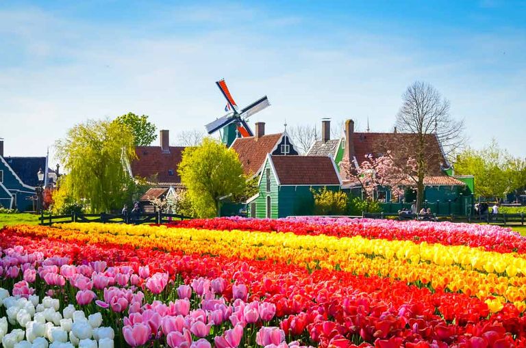  زانس شانس أجمل مدن هولندا الريفية