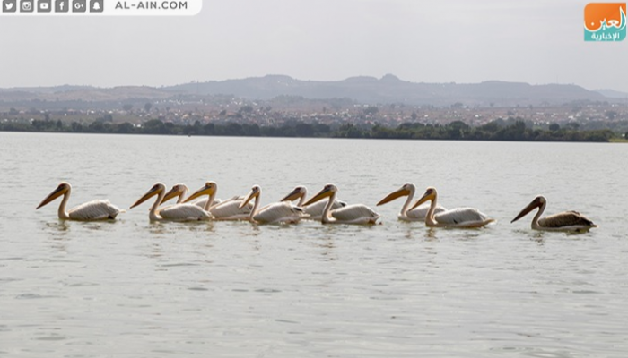بالصور.. بحيرة “تانا” وجهة السياح المفضلة في إثيوبيا