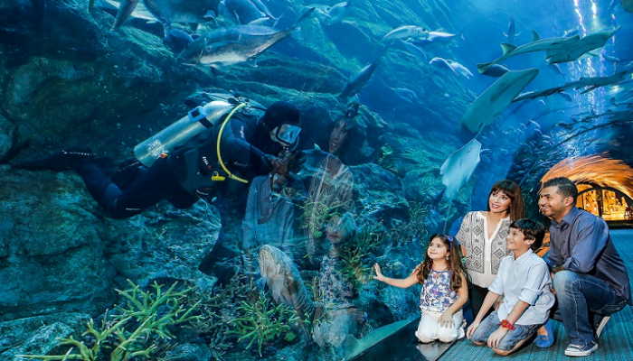 “دبي أكواريوم وحديقة الحيوانات المائية”.. الأفضل في العالم
