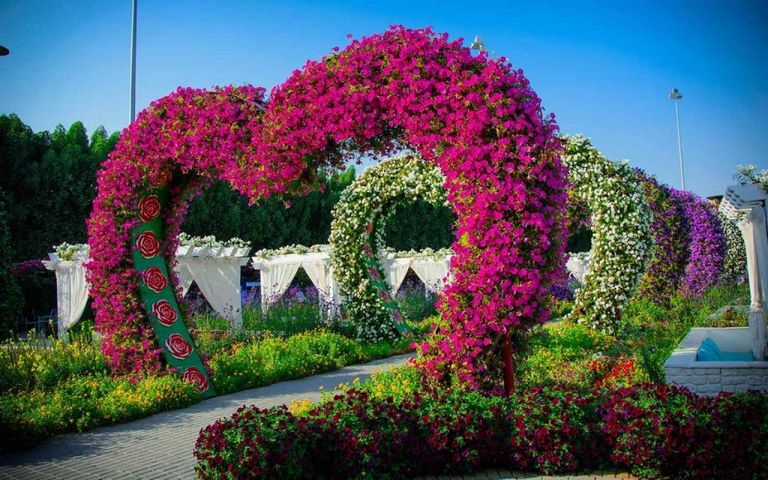 حديقة الورود أحد أماكن السياحة في بادن بادن