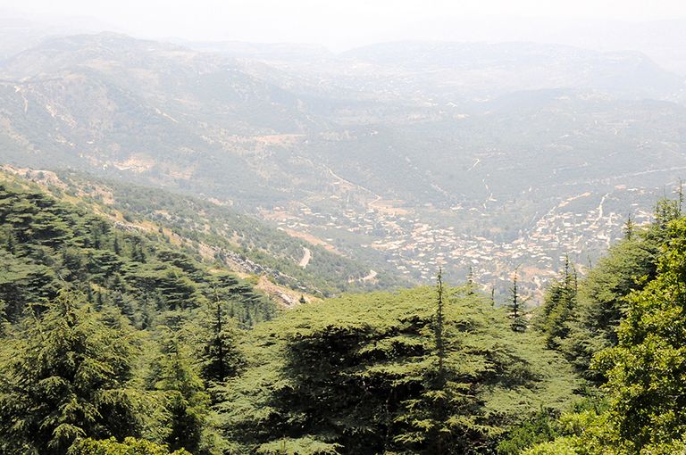 محمية شوف سيدار أحد أماكن السياحة في بيروت