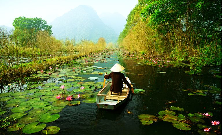 تكاليف السياحة في هانوي