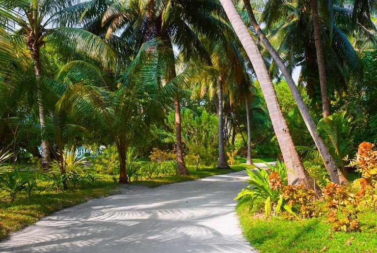 منتزه السلطان أحد أماكن السياحة في المالديف