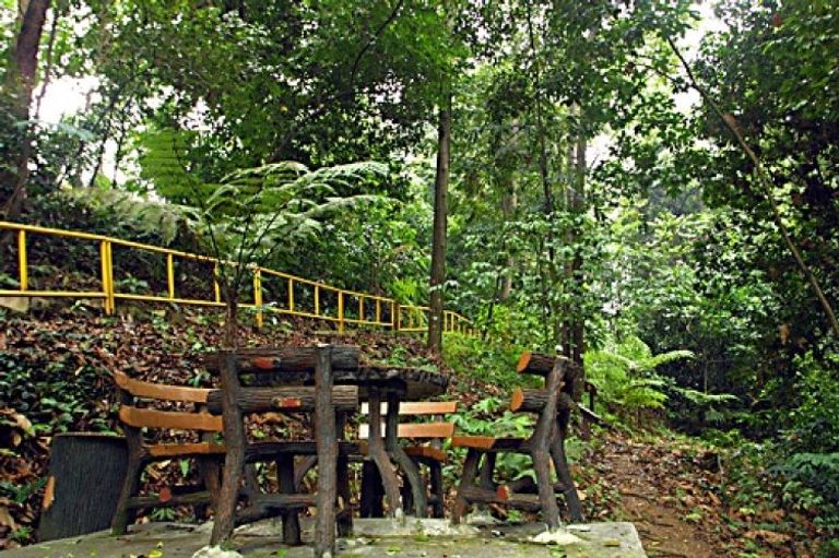 محمية الغابة بوكيت ناناس أهم المعالم السياحية في كوالالمبور