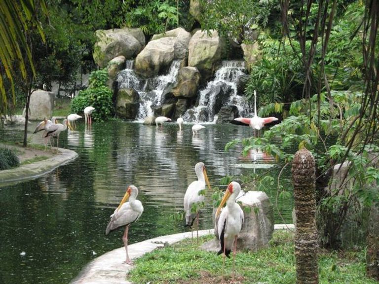 حديقة طيور كوالالمبور أهم المعالم السياحية في كوالالمبور
