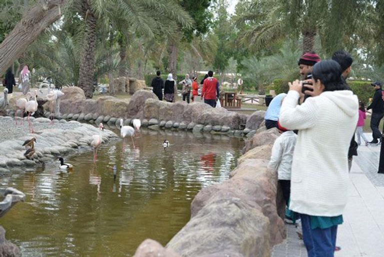  منتزه العرين للحياة البرية ضمن أماكن سياحية في البحرين للعوائل