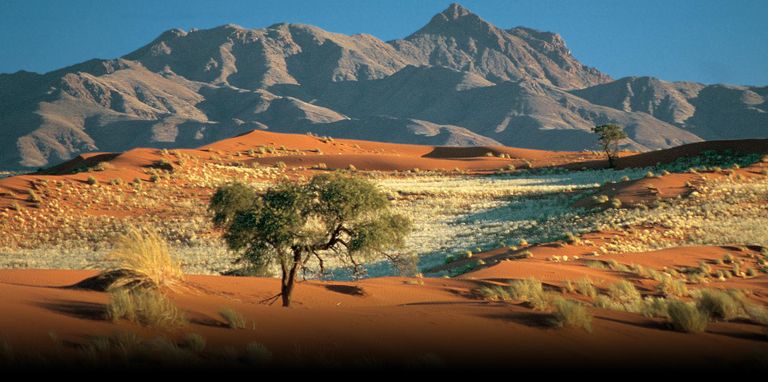 ناميبيا هي أجمل دولة في أفريقيا