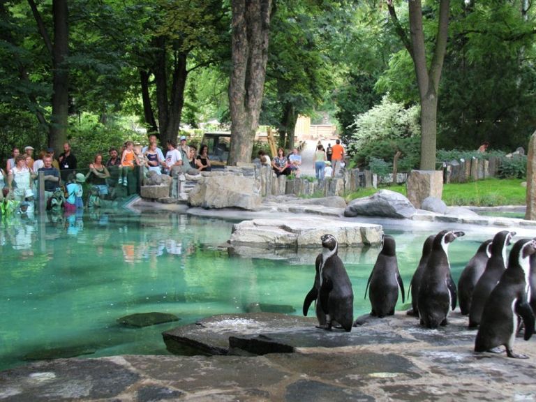 حديقة حيوان براغ أحد أماكن السياحة في براغ