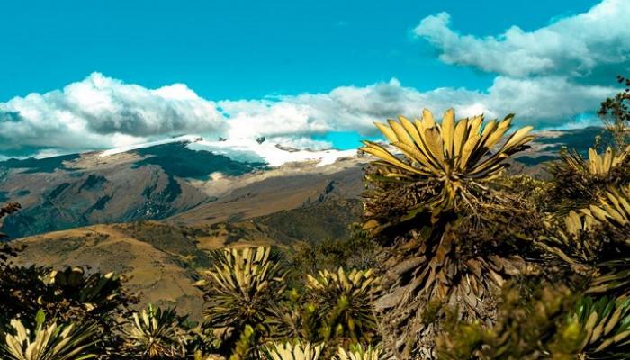 أجمل الحدائق الوطنية في كولومبيا.. متنزهات ومحميات طبيعية