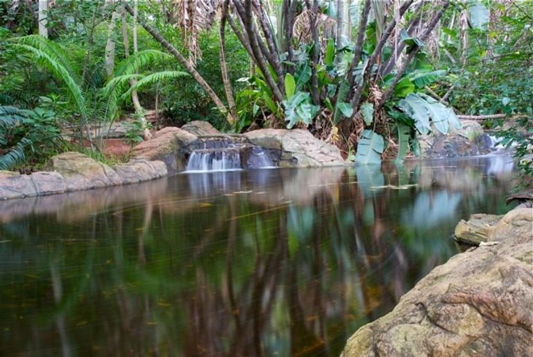 حديقة بريتوريا النباتية الوطنية أحد أجمل الحدائق في بريتوريا